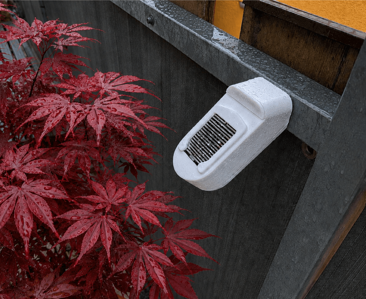 regensensor4 Alltagseindrücke aus KW 26/26